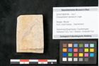 Foto (Objekt + Etikett) von Chrysophyllum olympicum Unger (NHMW-GEO-2024-0188-8168)